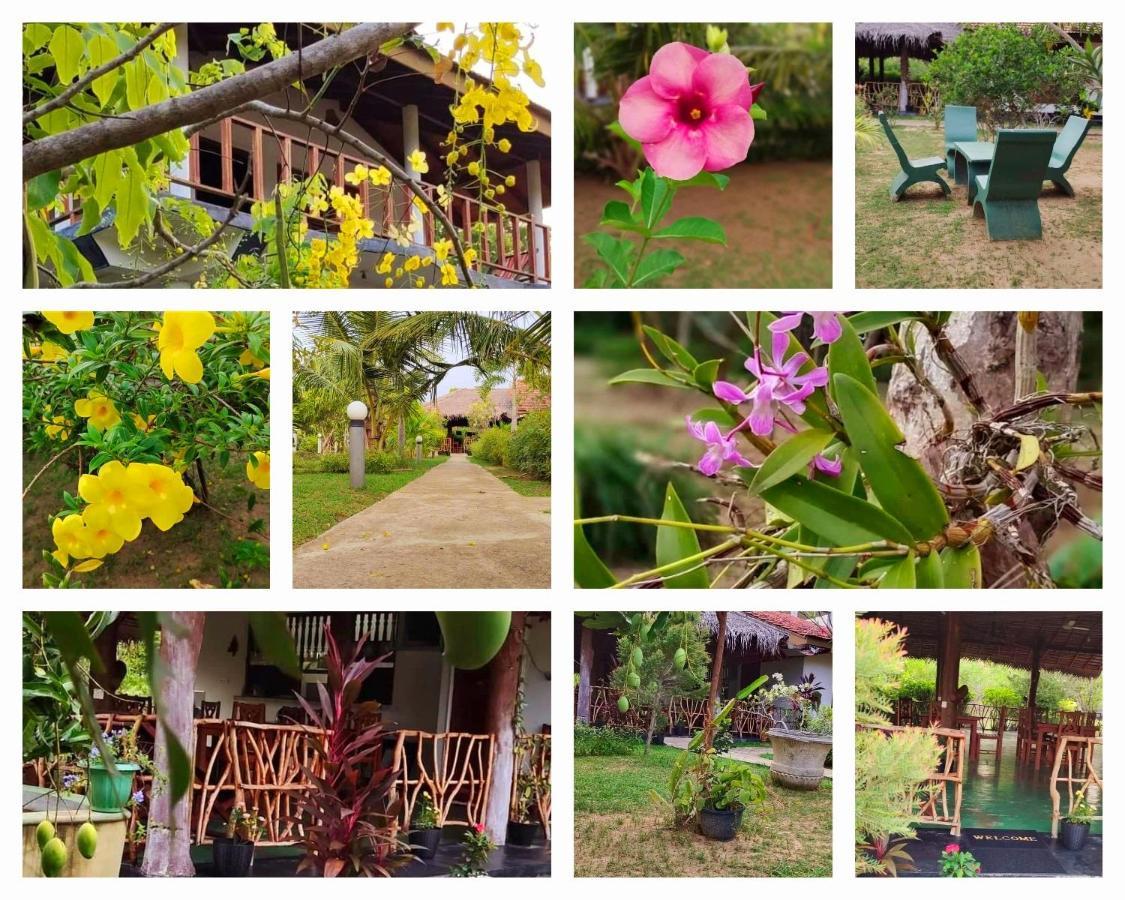 Pearl Cave Cabanas & Resturant Tangalle Eksteriør bilde